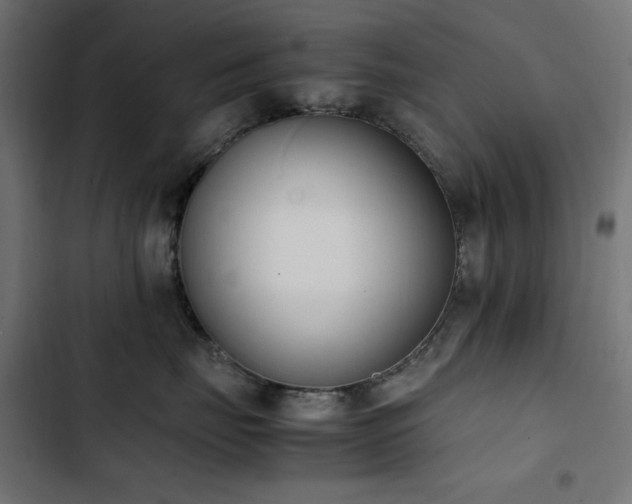 X0000103450671200809121429