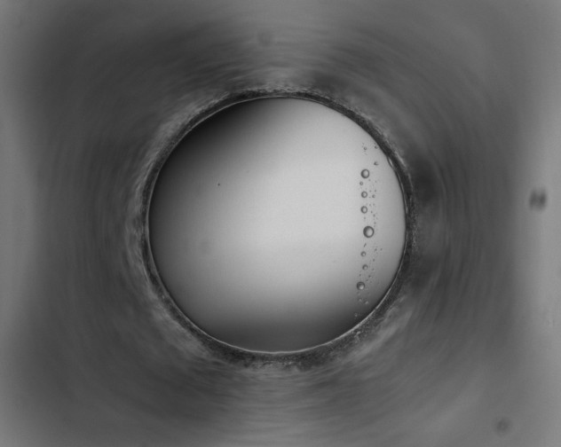 X0000103450673200809121428