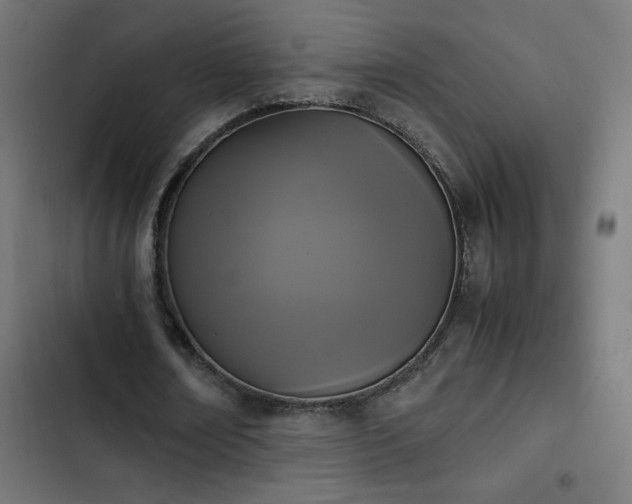X0000103450674200809121428