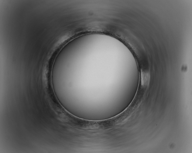 X0000103450675200809121428