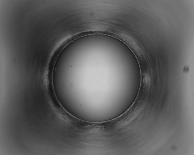 X0000103450676200809121428