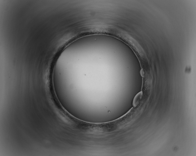 X0000103450677200809121428
