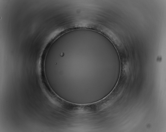 X0000103450678200809121428