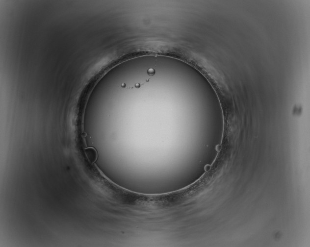 X0000103450679200809121428