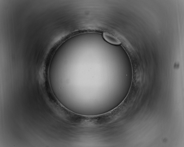 X0000103450680200809121428