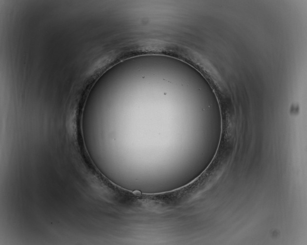 X0000103450681200809121428