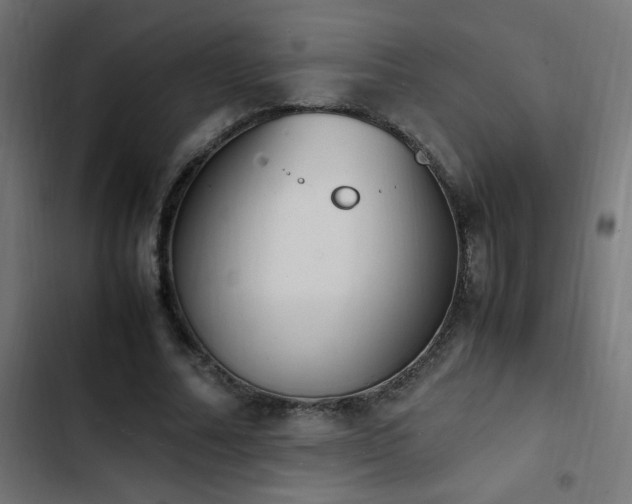 X0000103450682200809121428