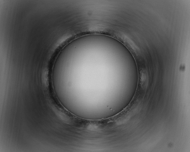 X0000103450684200809121428