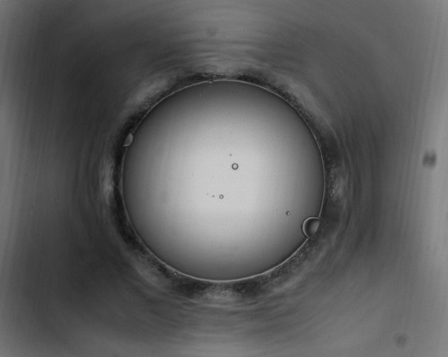 X0000103450685200809121428