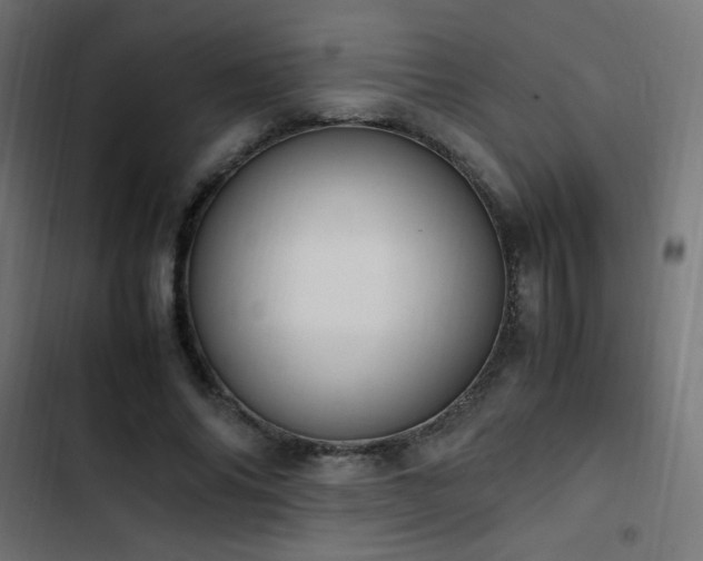 X0000103450686200809121428