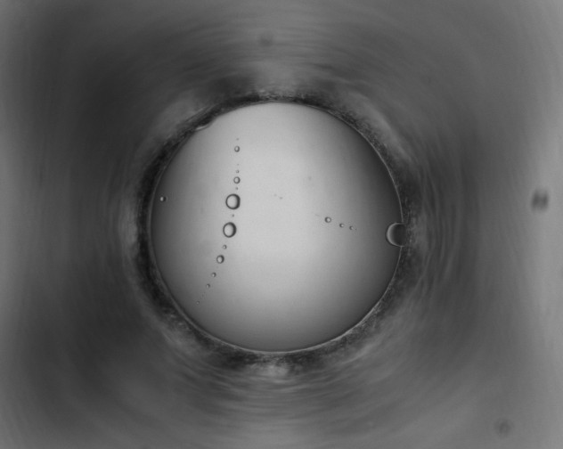 X0000103450687200809121428