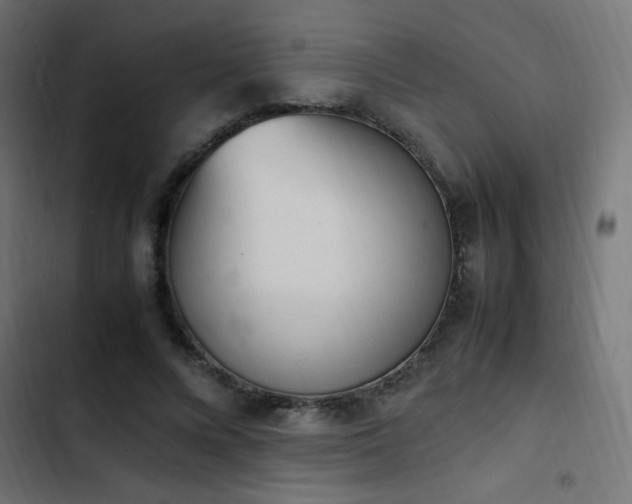 X0000103450688200809121428