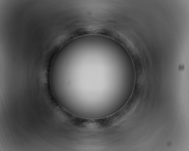 X0000103450689200809121427