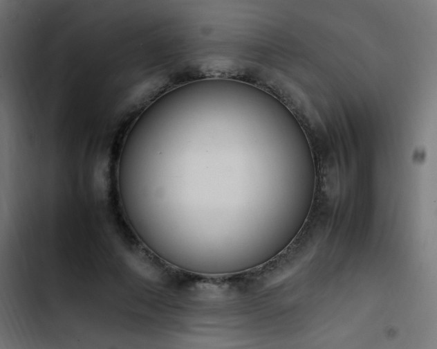 X0000103450690200809121427