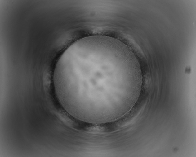 X0000103450691200809121427