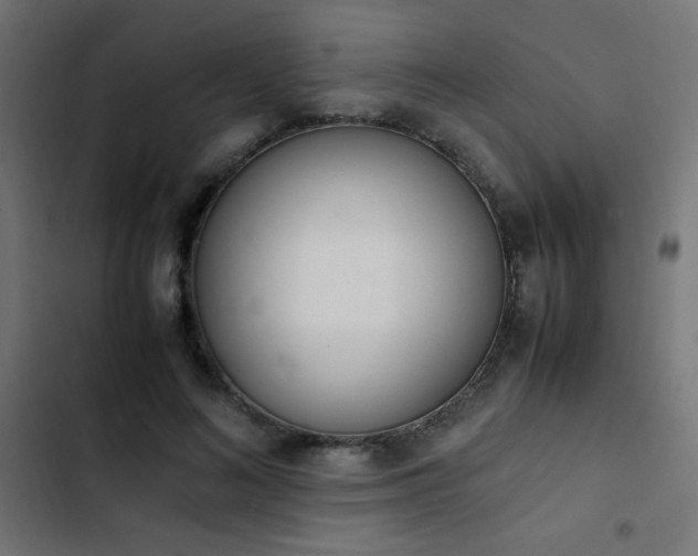X0000103450692200809121427