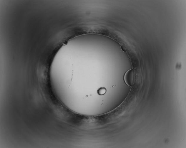 X0000103450695200809121427