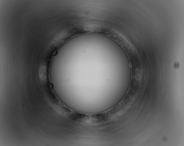 X0000103450696200809121427