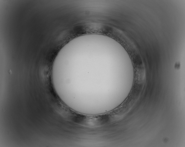 X0000103450701200809121427