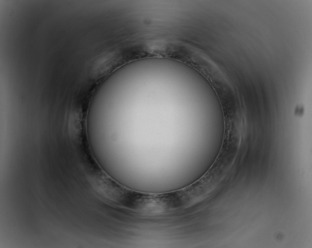 X0000103450702200809121427