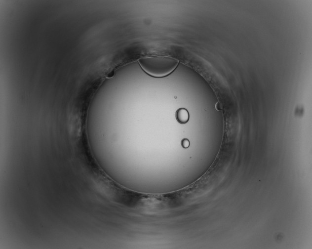 X0000103450703200809121427
