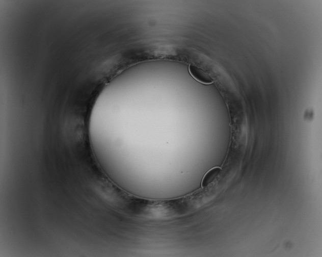 X0000103450704200809121427