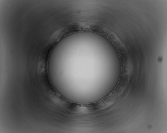 X0000103450706200809121427
