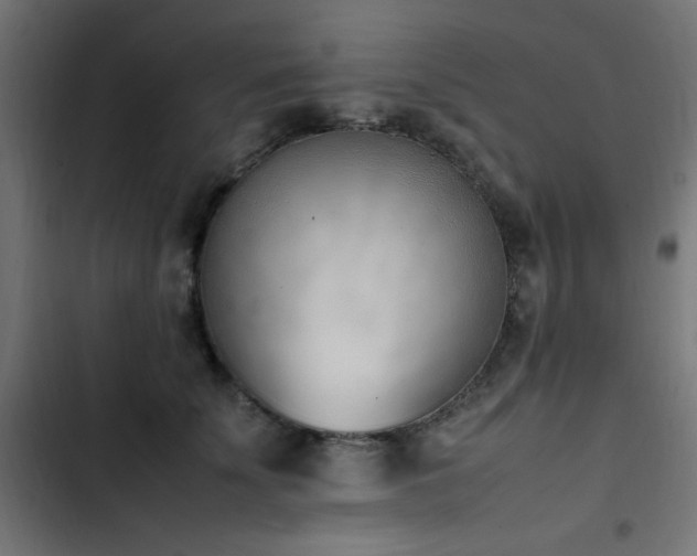 X0000103450707200809121427