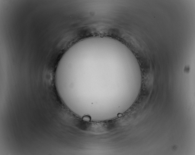 X0000103450709200809121427