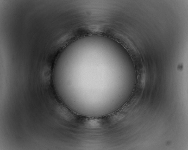 X0000103450710200809121427