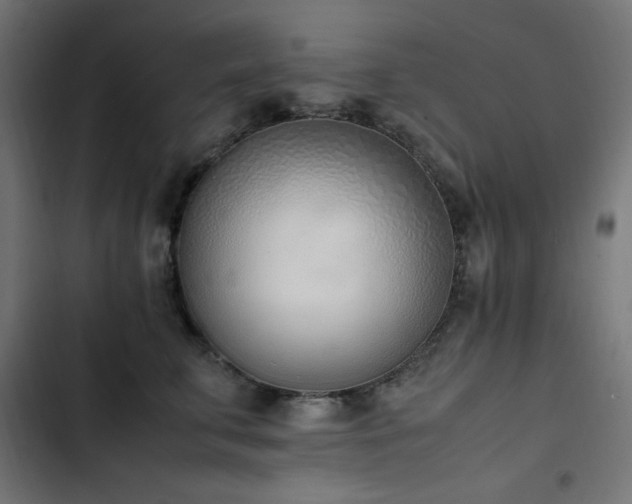 X0000103450711200809121427