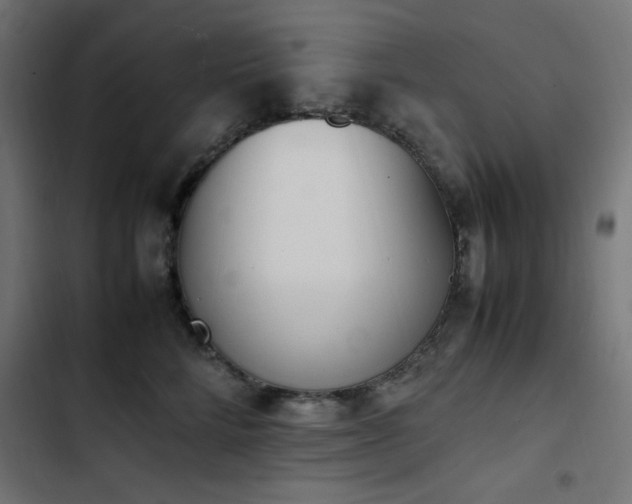 X0000103450712200809121427