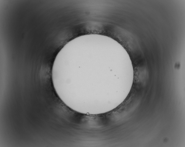 X0000103450713200809121427