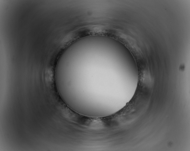 X0000103450715200809121427