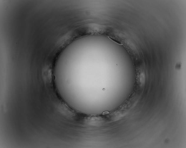 X0000103450716200809121427
