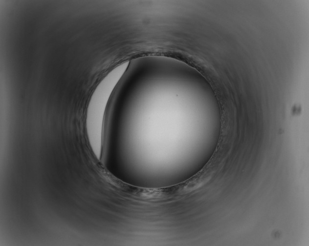 X0000103450720200809121427