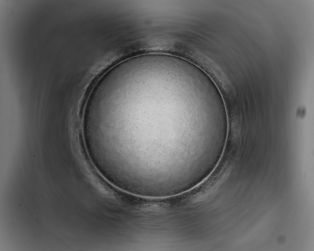 X0000103450721200809121426