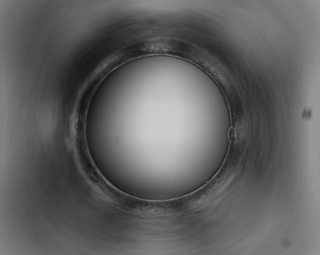 X0000103450722200809121426