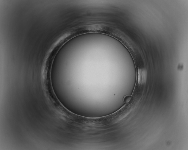 X0000103450723200809121426