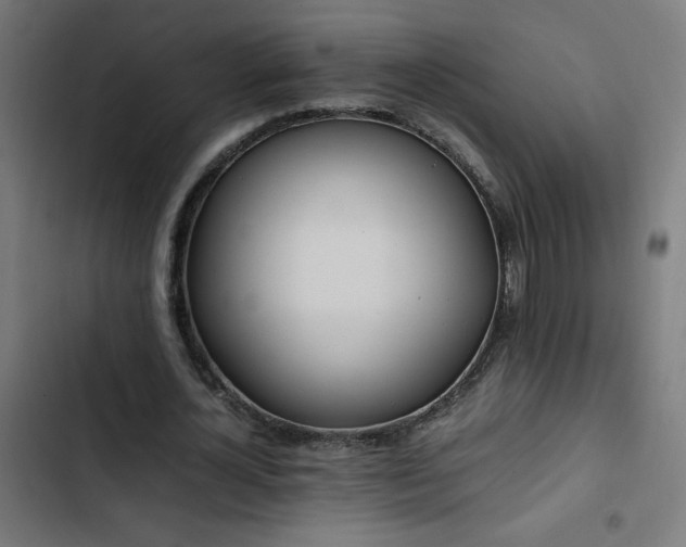 X0000103450724200809121426