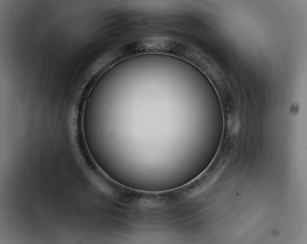 X0000103450725200809121426