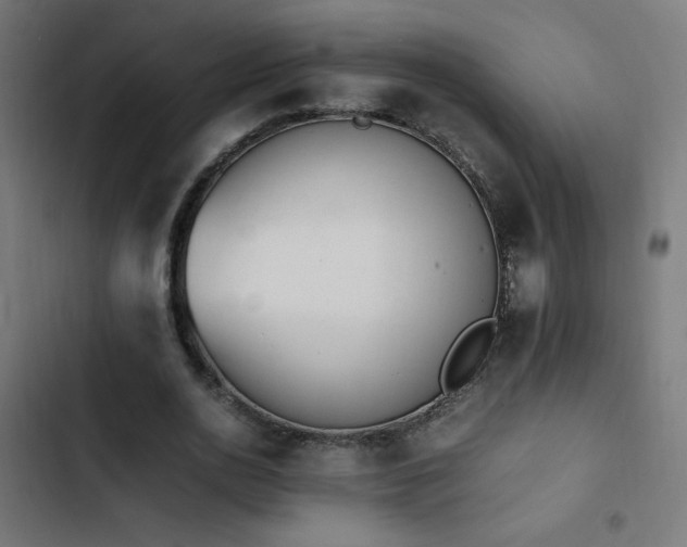X0000103450726200809121426