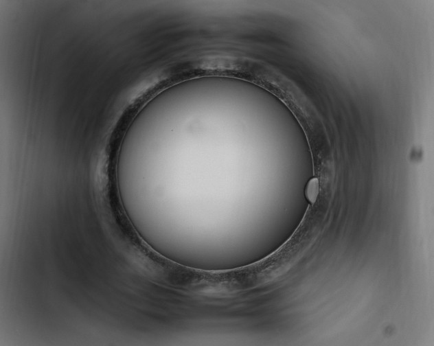 X0000103450727200809121426