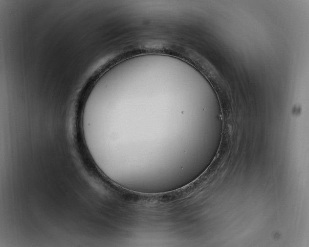 X0000103450728200809121426