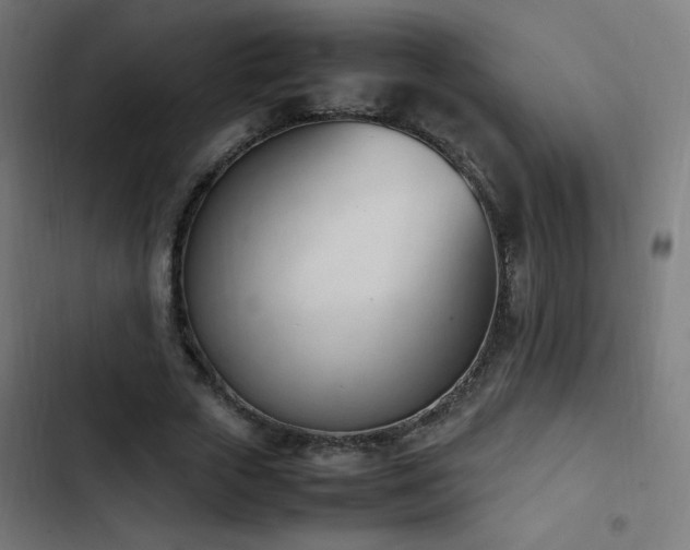 X0000103450729200809121426