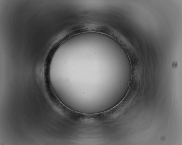 X0000103450730200809121426