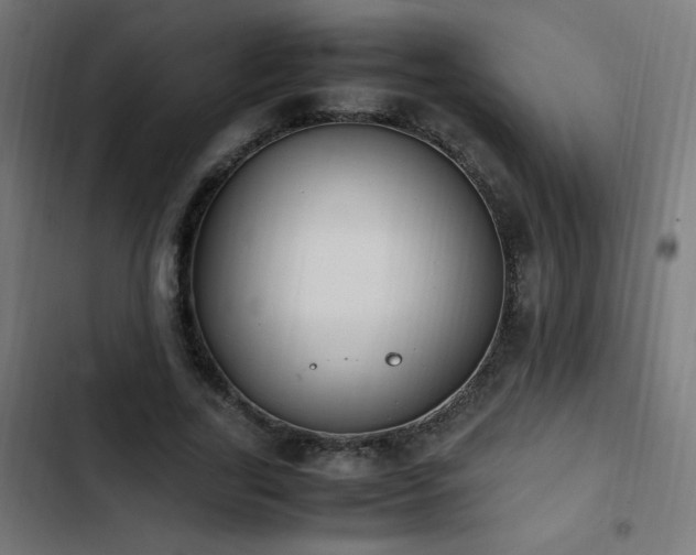 X0000103450731200809121426