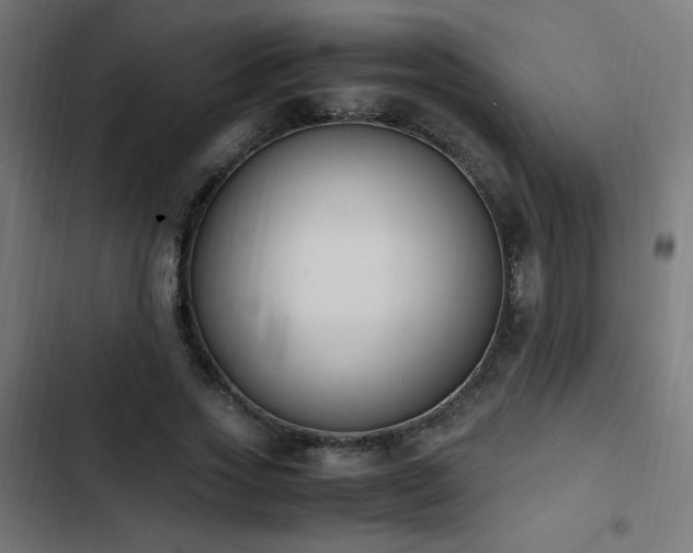 X0000103450733200809121426