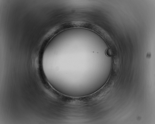 X0000103450734200809121426