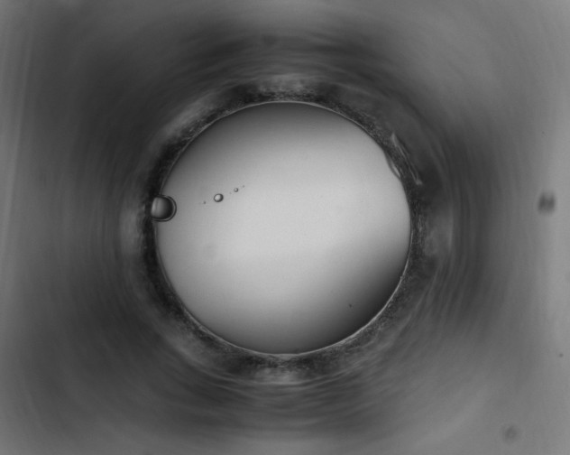 X0000103450735200809121426